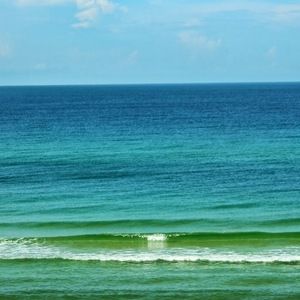 Meet your Posher, Christy